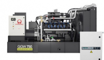 Газовый генератор Pramac GGW750G с АВР